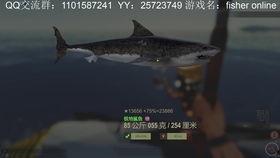 鲨鱼最新爆料视频大全集,揭秘海洋深处的秘密与奇观 第1张 鲨鱼最新爆料视频大全集,揭秘海洋深处的秘密与奇观 第1张